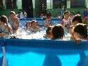 Boletines
