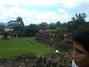 Boletines