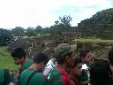 Boletines