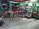 Boletines
