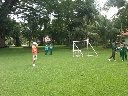 Boletines