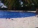 Boletines