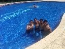 Boletines