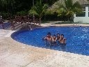 Boletines
