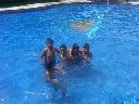Boletines