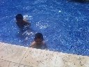 Boletines