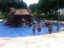 Boletines