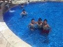 Boletines