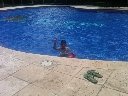 Boletines