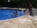 Boletines