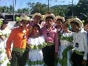 Boletines