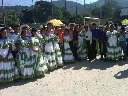 Boletines