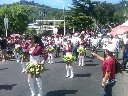 Boletines