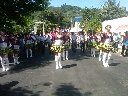 Boletines