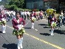 Boletines