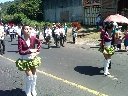 Boletines