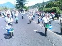 Boletines