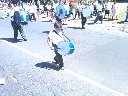 Boletines