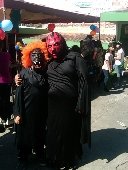 Boletines