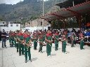 Boletines