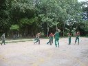 Boletines