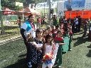 Boletines