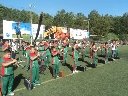 Boletines