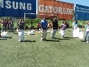 Boletines