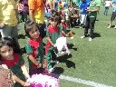 Boletines