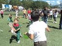 Boletines