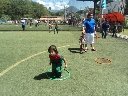 Boletines