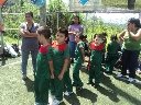 Boletines
