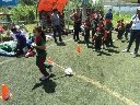 Boletines