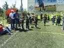 Boletines