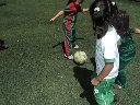 Boletines
