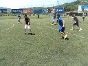 Boletines