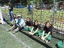 Boletines