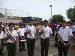 Boletines