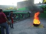 Boletines