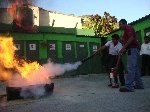 Boletines