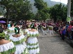 Boletines