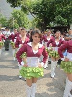 Boletines