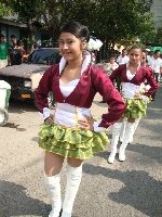 Boletines