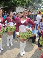 Boletines