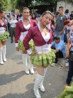 Boletines