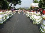 Boletines