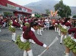 Boletines
