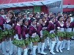 Boletines