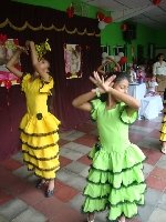Boletines