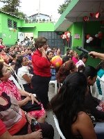 Boletines